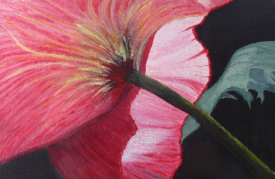 Poppies Coming and Going